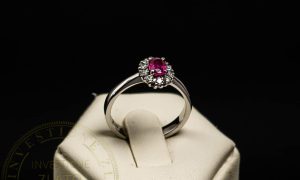 TZP00686 1